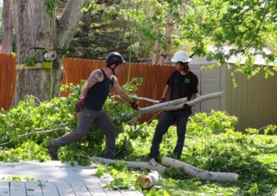 Clearing The Way