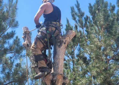 Precision & Safety Go Hand in Hand